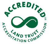 accreditation seal green