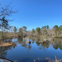 Florence County, Open Space Institute and Pee Dee Land Trust Announce Creation of New County Park Along State Scenic Lynches River