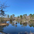 Florence County, Open Space Institute and Pee Dee Land Trust Announce Creation of New County Park Along State Scenic Lynches River
