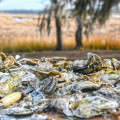 PDLT's 18th Annual Oyster Roast to be held Saturday, February 24, 2024