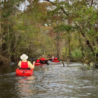 Sold Out - Spring Paddle - Black River Cypress Preserve Saturday, May 7, 2022